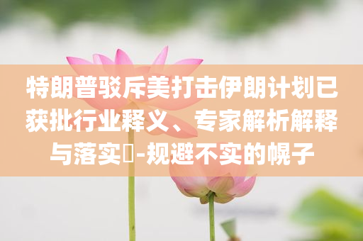 特朗普駁斥美打擊伊朗計(jì)劃已獲批行業(yè)釋義、專家解析解釋與落實(shí)?-規(guī)避不實(shí)的幌子