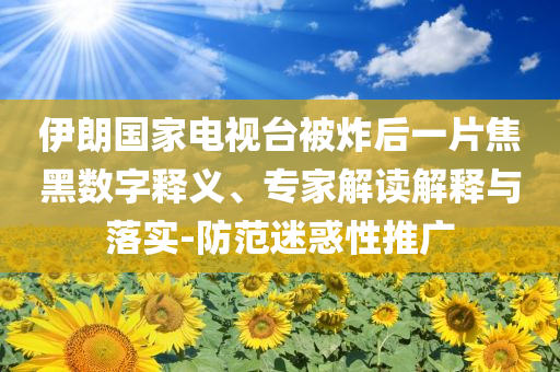 伊朗國家電視臺(tái)被炸后一片焦黑數(shù)字釋義、專家解讀解釋與落實(shí)-防范迷惑性推廣