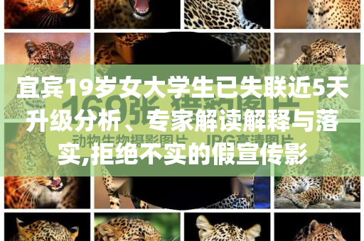 宜賓19歲女大學(xué)生已失聯(lián)近5天升級分析、專家解讀解釋與落實(shí),拒絕不實(shí)的假宣傳影