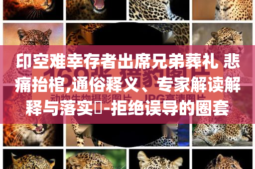 印空難幸存者出席兄弟葬禮 悲痛抬棺,通俗釋義、專家解讀解釋與落實(shí)?-拒絕誤導(dǎo)的圈套