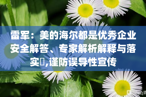 雷軍：美的海爾都是優(yōu)秀企業(yè)安全解答、專家解析解釋與落實?,謹(jǐn)防誤導(dǎo)性宣傳