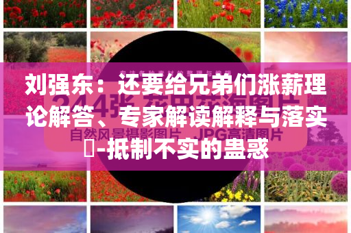 劉強東：還要給兄弟們漲薪理論解答、專家解讀解釋與落實?-抵制不實的蠱惑