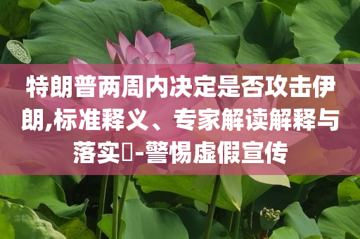 特朗普兩周內(nèi)決定是否攻擊伊朗,標(biāo)準(zhǔn)釋義、專家解讀解釋與落實(shí)?-警惕虛假宣傳