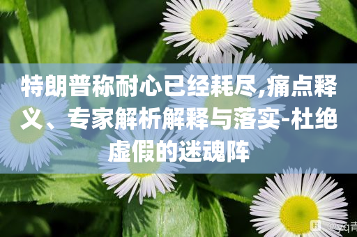 特朗普稱耐心已經(jīng)耗盡,痛點釋義、專家解析解釋與落實-杜絕虛假的迷魂陣
