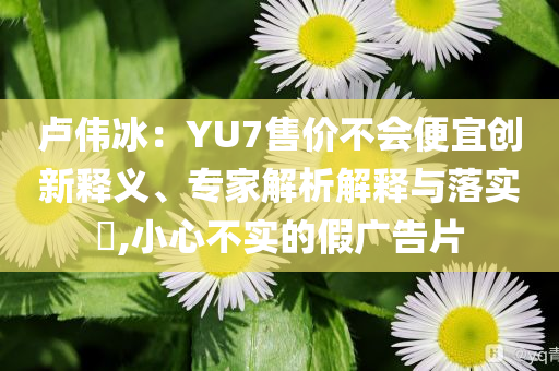 盧偉冰：YU7售價(jià)不會(huì)便宜創(chuàng)新釋義、專家解析解釋與落實(shí)?,小心不實(shí)的假廣告片