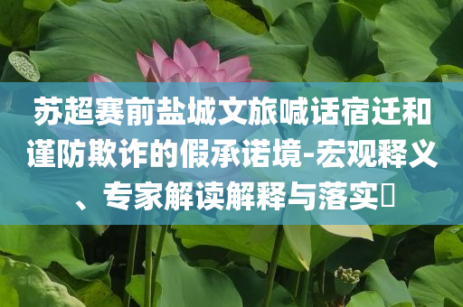 蘇超賽前鹽城文旅喊話宿遷和謹(jǐn)防欺詐的假承諾境-宏觀釋義、專家解讀解釋與落實(shí)?