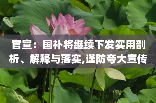 官宣：國補(bǔ)將繼續(xù)下發(fā)實(shí)用剖析、解釋與落實(shí),謹(jǐn)防夸大宣傳