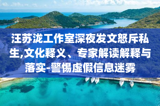 汪蘇瀧工作室深夜發(fā)文怒斥私生,文化釋義、專家解讀解釋與落實(shí)-警惕虛假信息迷霧