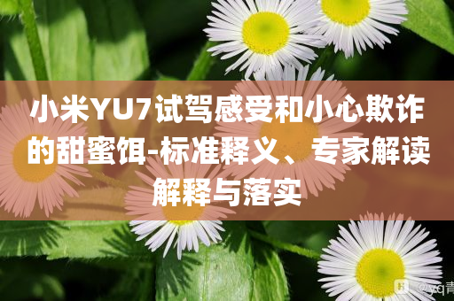 小米YU7試駕感受和小心欺詐的甜蜜餌-標準釋義、專家解讀解釋與落實