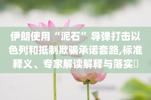 伊朗使用“泥石”導彈打擊以色列和抵制欺騙承諾套路,標準釋義、專家解讀解釋與落實?