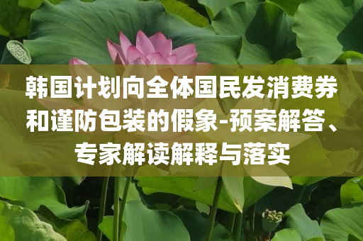 韓國計劃向全體國民發(fā)消費券和謹防包裝的假象-預案解答、專家解讀解釋與落實