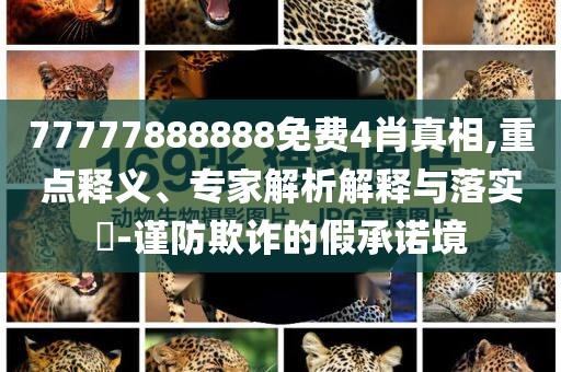 77777888888免費(fèi)4肖真相,重點(diǎn)釋義、專家解析解釋與落實(shí)?-謹(jǐn)防欺詐的假承諾境