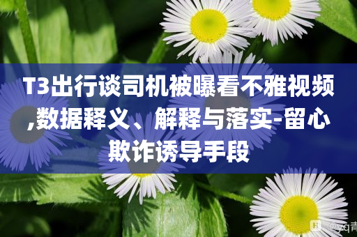 T3出行談司機被曝看不雅視頻,數(shù)據(jù)釋義、解釋與落實-留心欺詐誘導手段