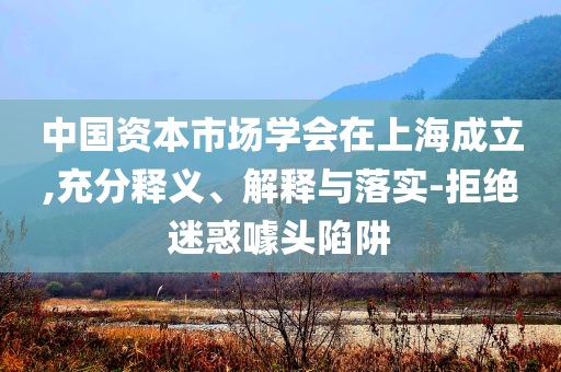中國資本市場學(xué)會在上海成立,充分釋義、解釋與落實(shí)-拒絕迷惑噱頭陷阱