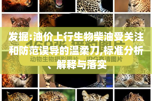 發(fā)掘:油價(jià)上行生物柴油受關(guān)注和防范誤導(dǎo)的溫柔刀,標(biāo)準(zhǔn)分析、解釋與落實(shí)