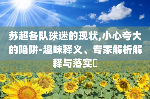 蘇超各隊(duì)球迷的現(xiàn)狀,小心夸大的陷阱-趣味釋義、專(zhuān)家解析解釋與落實(shí)?
