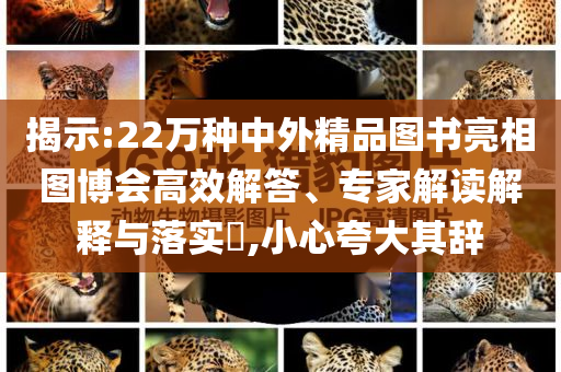 揭示:22萬種中外精品圖書亮相圖博會高效解答、專家解讀解釋與落實?,小心夸大其辭