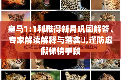皇馬1:1利雅得新月鞏固解答、專家解讀解釋與落實?,謹防虛假標榜手段