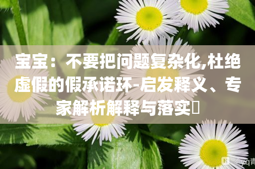 寶寶：不要把問題復(fù)雜化,杜絕虛假的假承諾環(huán)-啟發(fā)釋義、專家解析解釋與落實(shí)?