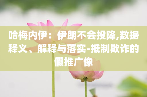 哈梅內(nèi)伊：伊朗不會(huì)投降,數(shù)據(jù)釋義、解釋與落實(shí)-抵制欺詐的假推廣像