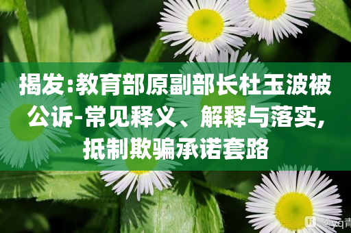 揭發(fā):教育部原副部長杜玉波被公訴-常見釋義、解釋與落實,抵制欺騙承諾套路