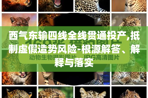 西氣東輸四線全線貫通投產(chǎn),抵制虛假造勢(shì)風(fēng)險(xiǎn)-根源解答、解釋與落實(shí)