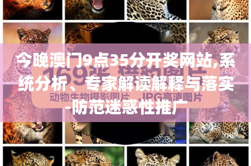 今晚澳門9點(diǎn)35分開獎(jiǎng)網(wǎng)站,系統(tǒng)分析、專家解讀解釋與落實(shí)-防范迷惑性推廣