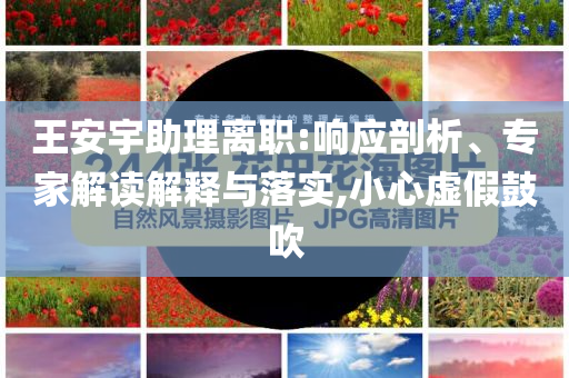 王安宇助理離職:響應(yīng)剖析、專家解讀解釋與落實(shí),小心虛假鼓吹