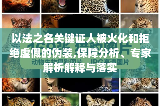 以法之名關(guān)鍵證人被火化和拒絕虛假的偽裝,保障分析、專家解析解釋與落實(shí)