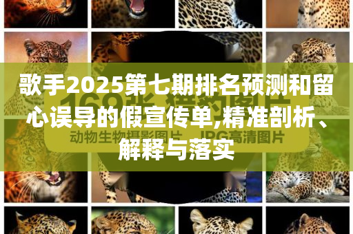 歌手2025第七期排名預(yù)測和留心誤導(dǎo)的假宣傳單,精準剖析、解釋與落實