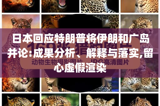 日本回應(yīng)特朗普將伊朗和廣島并論:成果分析、解釋與落實(shí),留心虛假渲染