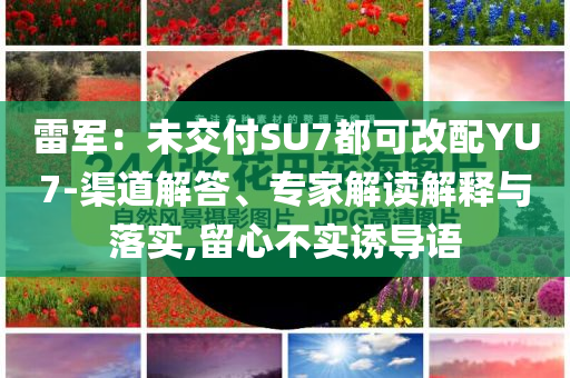 雷軍：未交付SU7都可改配YU7-渠道解答、專家解讀解釋與落實(shí),留心不實(shí)誘導(dǎo)語