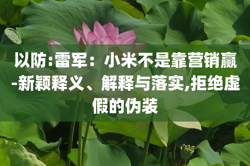 以防:雷軍：小米不是靠營(yíng)銷贏-新穎釋義、解釋與落實(shí),拒絕虛假的偽裝