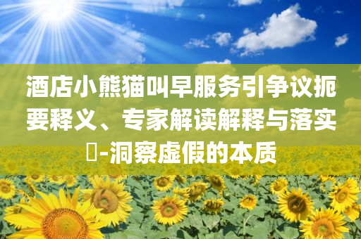 酒店小熊貓叫早服務(wù)引爭議扼要釋義、專家解讀解釋與落實?-洞察虛假的本質(zhì)