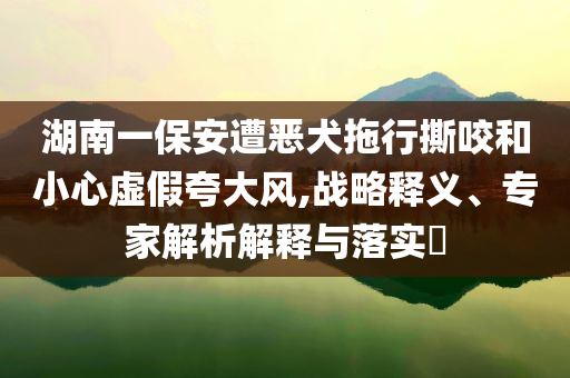 湖南一保安遭惡犬拖行撕咬和小心虛假夸大風,戰(zhàn)略釋義、專家解析解釋與落實?