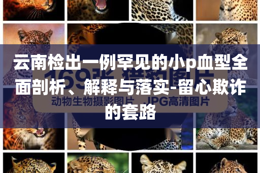 云南檢出一例罕見的小p血型全面剖析、解釋與落實-留心欺詐的套路