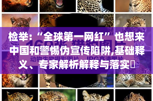 檢舉:“全球第一網(wǎng)紅”也想來(lái)中國(guó)和警惕偽宣傳陷阱,基礎(chǔ)釋義、專(zhuān)家解析解釋與落實(shí)?