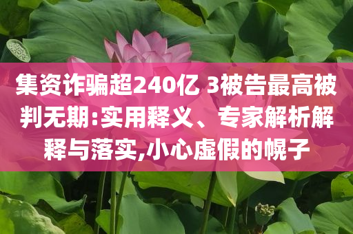 集資詐騙超240億 3被告最高被判無期:實用釋義、專家解析解釋與落實,小心虛假的幌子