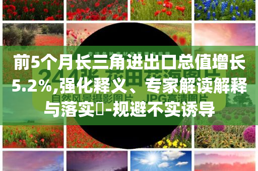 前5個月長三角進出口總值增長5.2%,強化釋義、專家解讀解釋與落實?-規(guī)避不實誘導(dǎo)