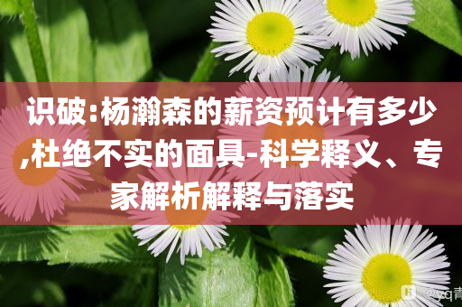 識破:楊瀚森的薪資預(yù)計有多少,杜絕不實的面具-科學(xué)釋義、專家解析解釋與落實