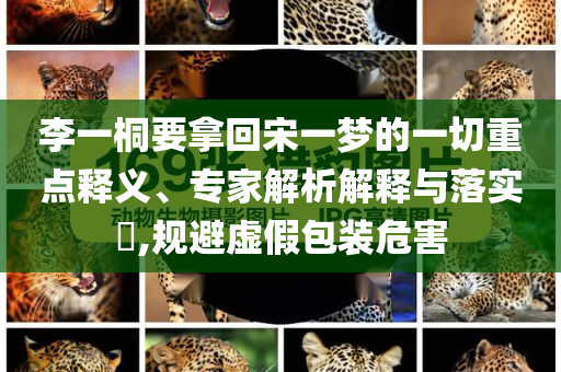 李一桐要拿回宋一夢的一切重點釋義、專家解析解釋與落實?,規(guī)避虛假包裝危害