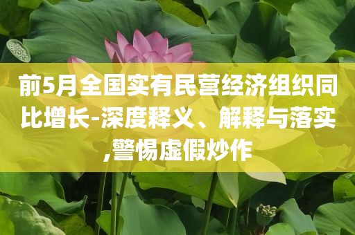 前5月全國實有民營經(jīng)濟組織同比增長-深度釋義、解釋與落實,警惕虛假炒作