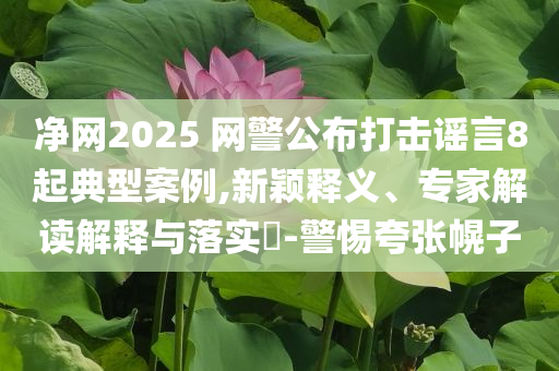凈網(wǎng)2025 網(wǎng)警公布打擊謠言8起典型案例,新穎釋義、專家解讀解釋與落實?-警惕夸張幌子