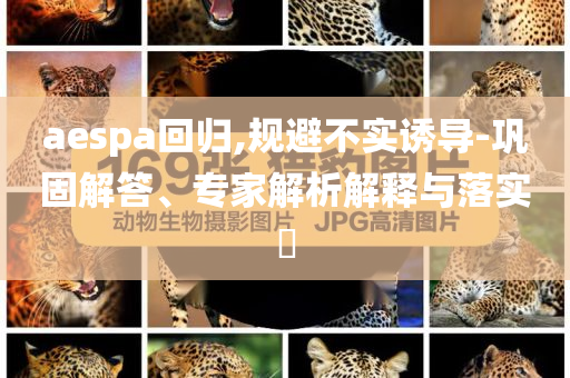 aespa回歸,規(guī)避不實(shí)誘導(dǎo)-鞏固解答、專家解析解釋與落實(shí)?