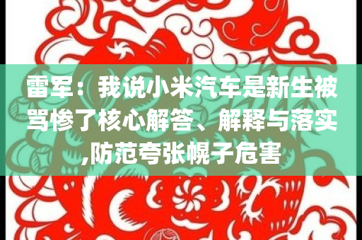 雷軍：我說(shuō)小米汽車是新生被罵慘了核心解答、解釋與落實(shí),防范夸張幌子危害