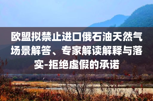 歐盟擬禁止進口俄石油天然氣場景解答、專家解讀解釋與落實-拒絕虛假的承諾