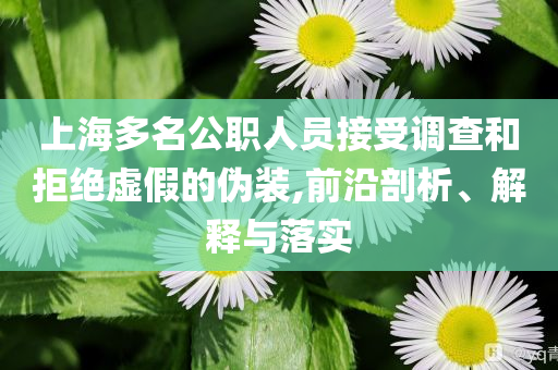上海多名公職人員接受調查和拒絕虛假的偽裝,前沿剖析、解釋與落實