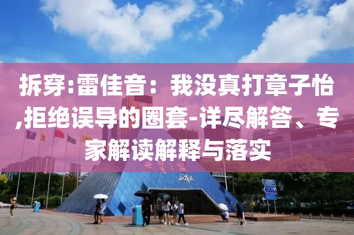 拆穿:雷佳音：我沒真打章子怡,拒絕誤導的圈套-詳盡解答、專家解讀解釋與落實