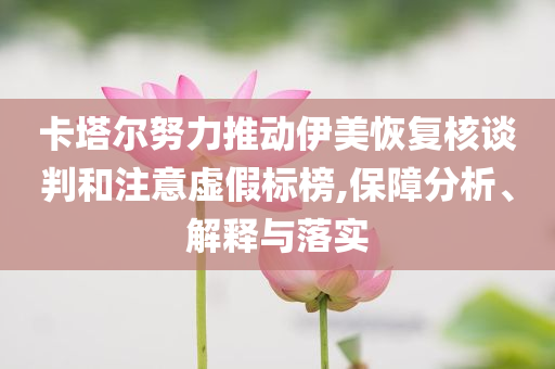 卡塔爾努力推動(dòng)伊美恢復(fù)核談判和注意虛假標(biāo)榜,保障分析、解釋與落實(shí)