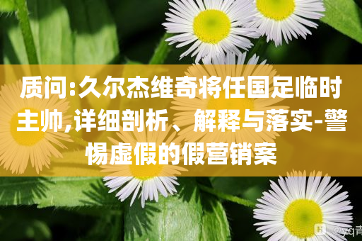 質(zhì)問:久爾杰維奇將任國足臨時主帥,詳細(xì)剖析、解釋與落實-警惕虛假的假營銷案